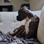 Ersteller:in Sunny Profilbild