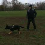 Ersteller:in Stefan Profilbild