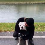 Ersteller:in Sandro Profilbild