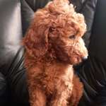 Ersteller:in Tine Profilbild