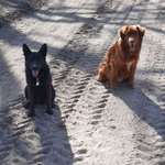 Ersteller:in Markus Meik Profilbild