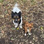 Ersteller:in Tanja Profilbild