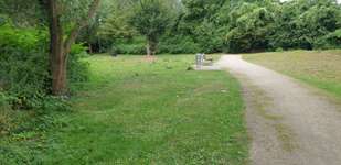 Hundeauslaufgebiet-Südpark - Alte Gladbacher Straße-Bild