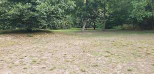 Hundeauslaufgebiet-Südpark - Alte Gladbacher Straße-Bild