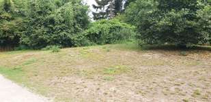 Hundeauslaufgebiet-Südpark - Alte Gladbacher Straße-Bild