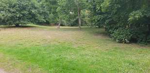 Hundeauslaufgebiet-Südpark - Alte Gladbacher Straße-Bild