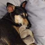 Ersteller:in Corinna Profilbild