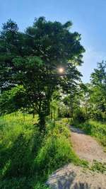 Hundeauslaufgebiet-Gleichen-Bild