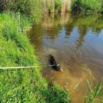 Hundeauslaufgebiet-Gleichen-Bild