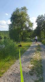 Hundeauslaufgebiet-Gleichen-Bild