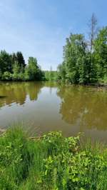 Hundeauslaufgebiet-Tiroler Seen-Bild