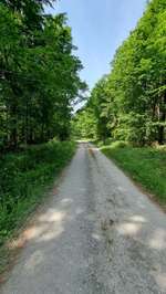 Hundeauslaufgebiet-Tiroler Seen-Bild