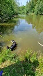 Hundeauslaufgebiet-Tiroler Seen-Bild