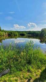 Hundeauslaufgebiet-Gleichen-Bild