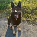 Ersteller:in Josef Profilbild