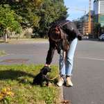 Ersteller:in Lisa und Jakob Profilbild