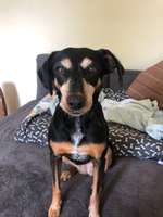 Gemeinsame Spaziergänge mit Senioren-Beitrag-Bild