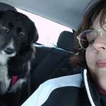 Ersteller:in Anne Profilbild