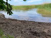 Hundeauslaufgebiet-Bolter Kanal-Bild