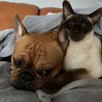 Ersteller:in Martina Profilbild