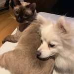 Ersteller:in Susanne Profilbild