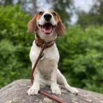 Ersteller:in L. Profilbild