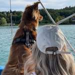 Ersteller:in Nathalie Profilbild