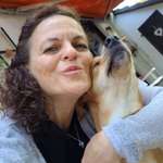 Ersteller:in Annamaria Profilbild