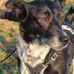 Ersteller:in Sabrina Profilbild