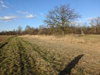 Hundeauslaufgebiet-Am Fohlengarten-Bild