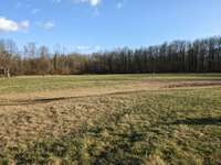 Hundeauslaufgebiet-Am Fohlengarten-Bild