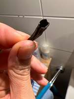 Hund verliert Krallenhülsen-Beitrag-Bild