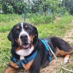 Ersteller:in Sandra Profilbild