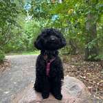 Suchmeldung-Finja-Bild