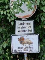 Hundeauslaufgebiet-Hundewiese in Bad Salzungen-Bild