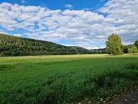 Hundeauslaufgebiet-Hundewiese in Bad Salzungen-Bild