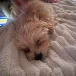 Ersteller:in Sylwia Profilbild