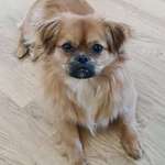 Ersteller:in Melanie Profilbild