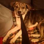 Zeigt her, euer Lieblingsspielzeug-Beitrag-Bild