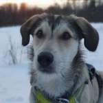 Ersteller:in Jaimee Profilbild