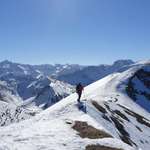 Ersteller:in Dominik Profilbild