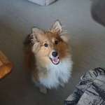 Ersteller:in Jessica Profilbild