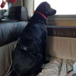 Ersteller:in Jutta Profilbild