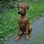 Ersteller:in Steffi Profilbild