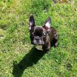 Ersteller:in Kerstin Profilbild