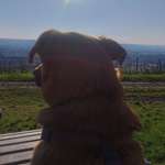 Ersteller:in Jasmin Profilbild