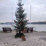 Ersteller:in Jasmin Profilbild