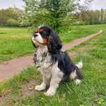 Ersteller:in Ti Profilbild