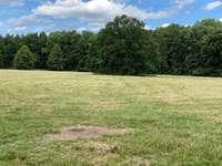 Hundeauslaufgebiet-Leidenhausen-Bild