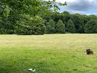 Hundeauslaufgebiet-Leidenhausen-Bild